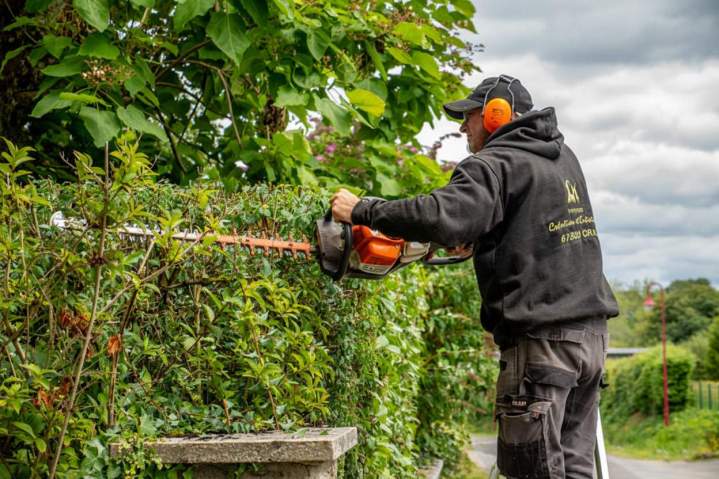 Travaux d'entretien paysager Alençon