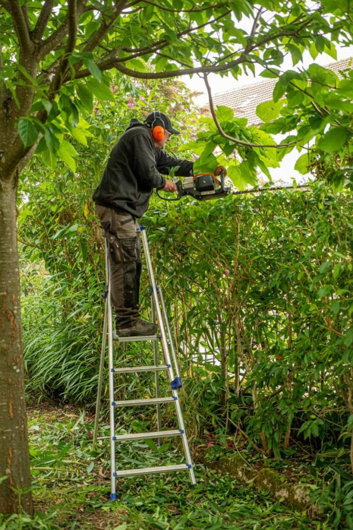 Taille de végétaux Alençon
