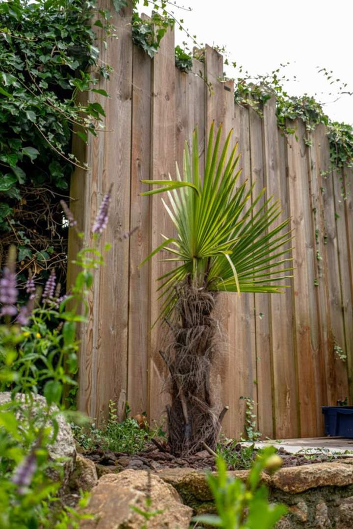 Installation clôture Alençon