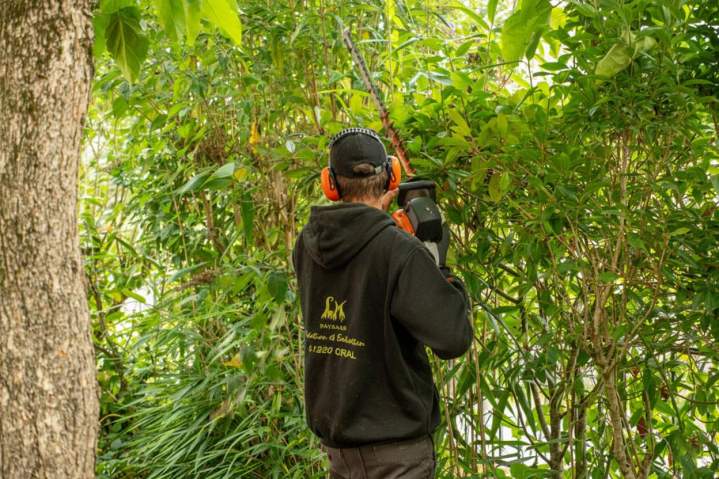 Entretien espace vert Alençon