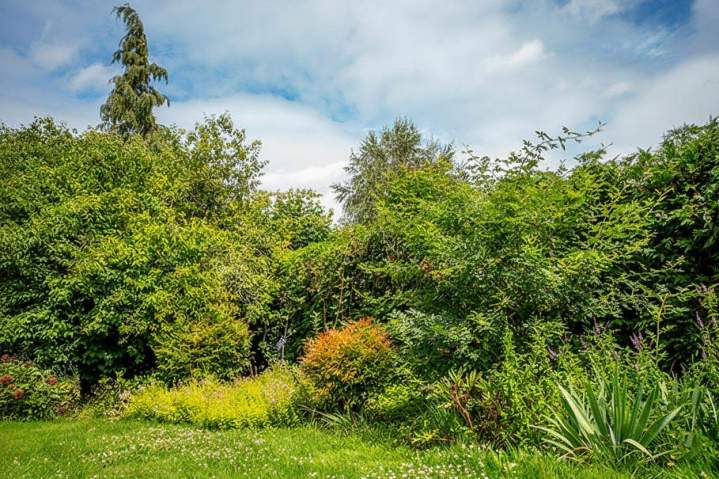 Entretien espace vert Alençon