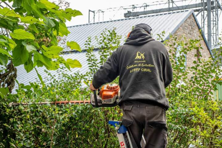 Entretien jardin Alençon